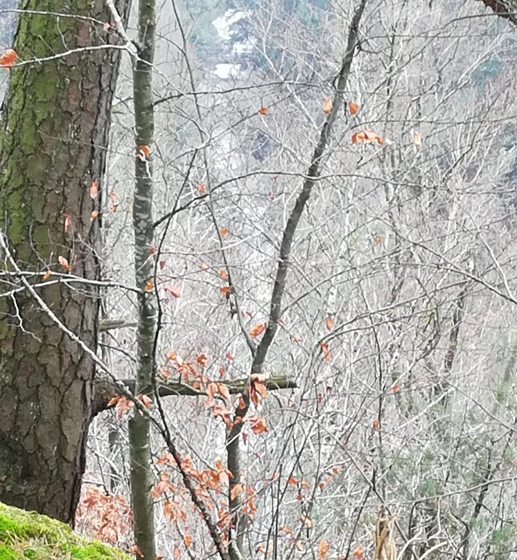 Stillensteinklamm Wanderweg