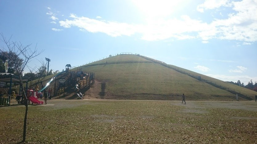 Tatsunoko Field景点图片