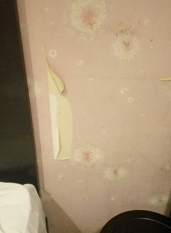 Sea Lion Hotel主图