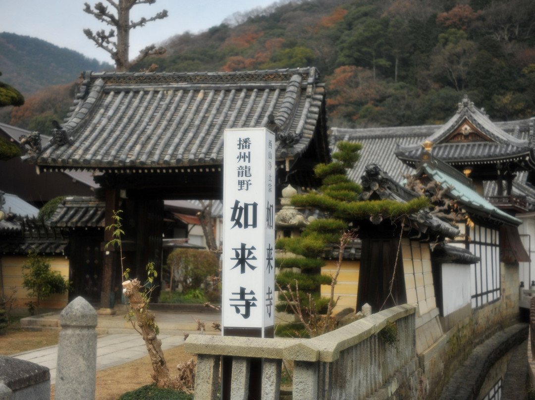 Nyoraiji Temple-龙野市必去景点