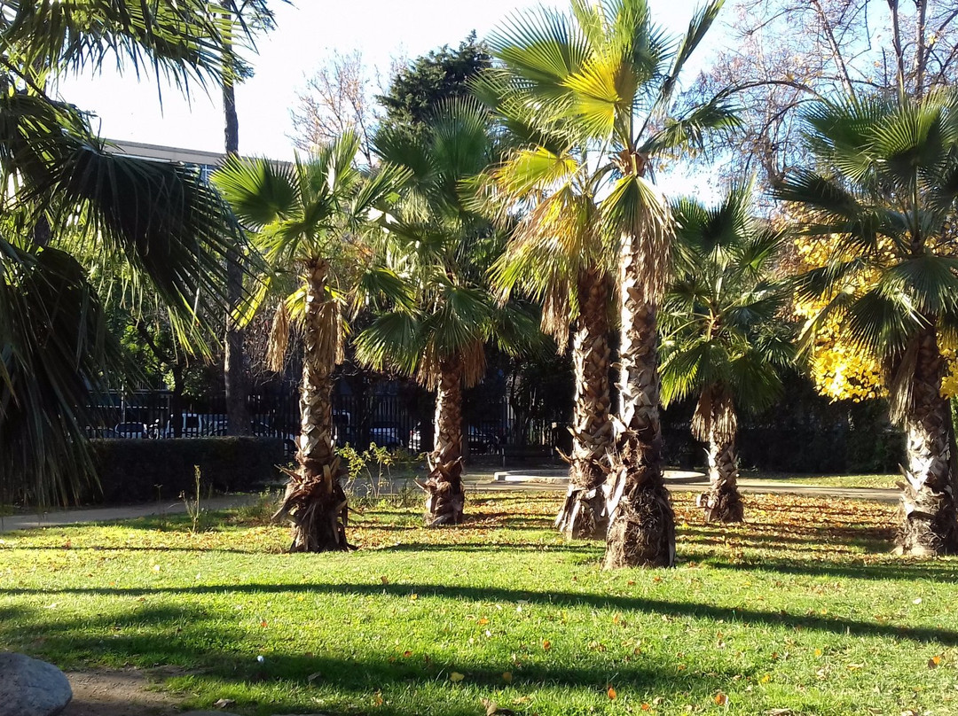Jardins del Palau Falguera景点图片