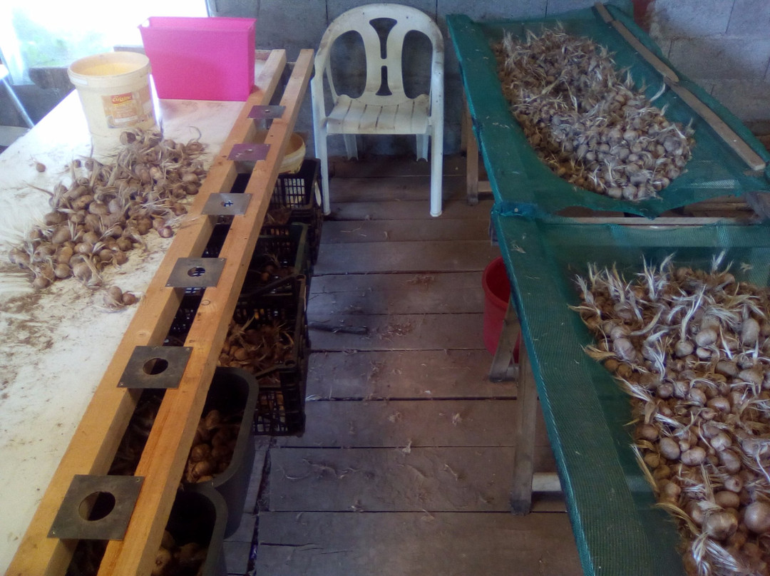 Safran de Murols Ferme de Murols-Murols必去景点