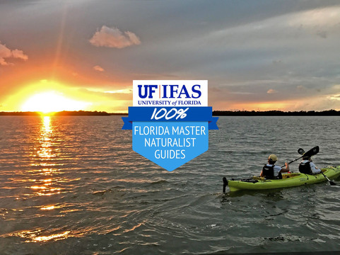 Adventure Paddle Tours-那不勒斯必去景点