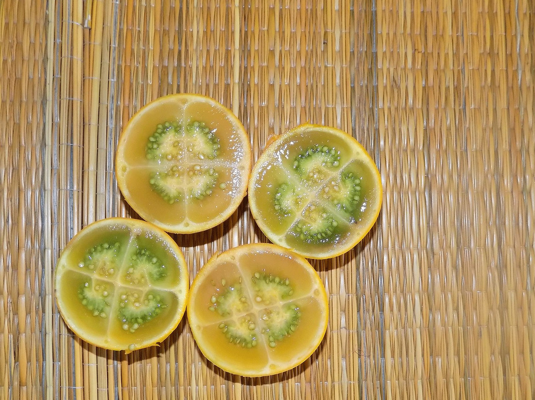 Traveling Spoon-布卡拉曼加必去景点