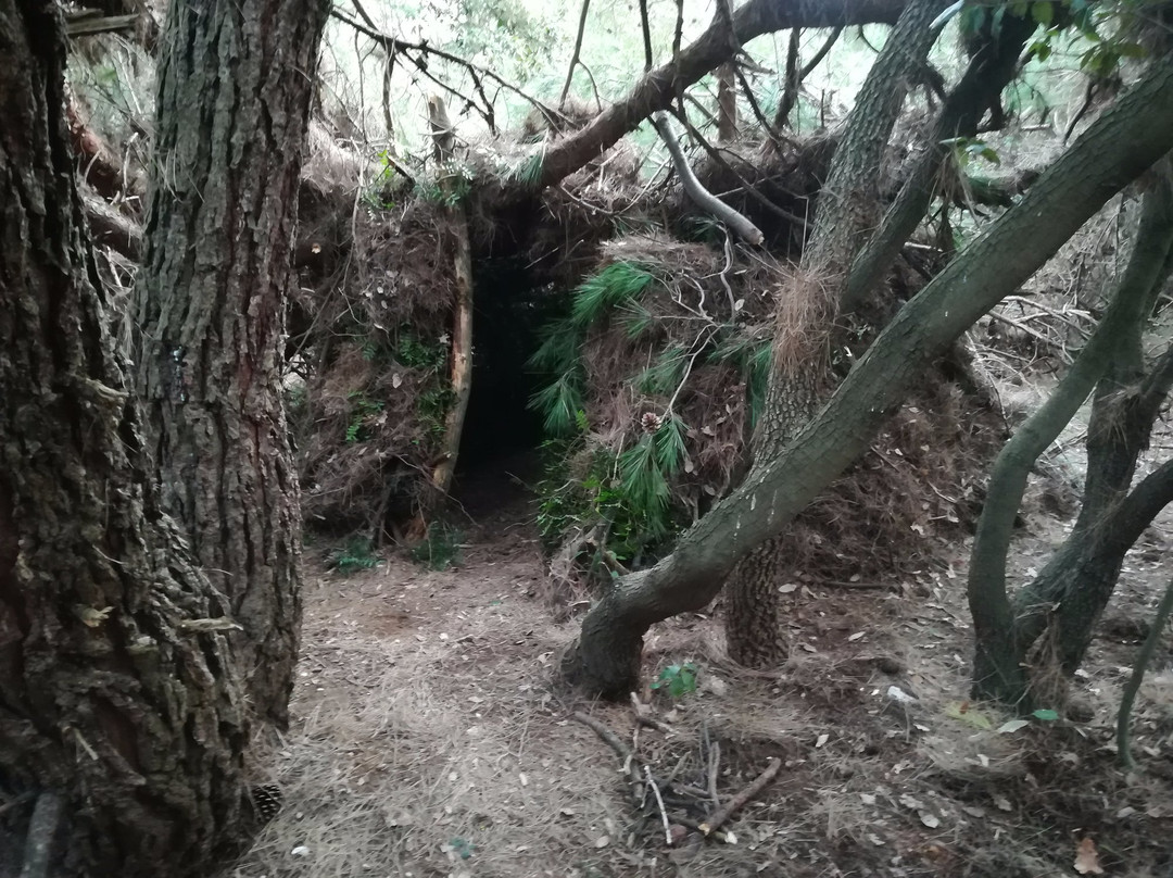 Survival and Adventure School ExtremeSurvive-普拉必去景点