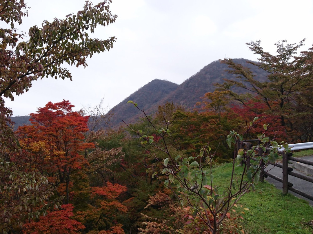 Takene Observation Point景点图片