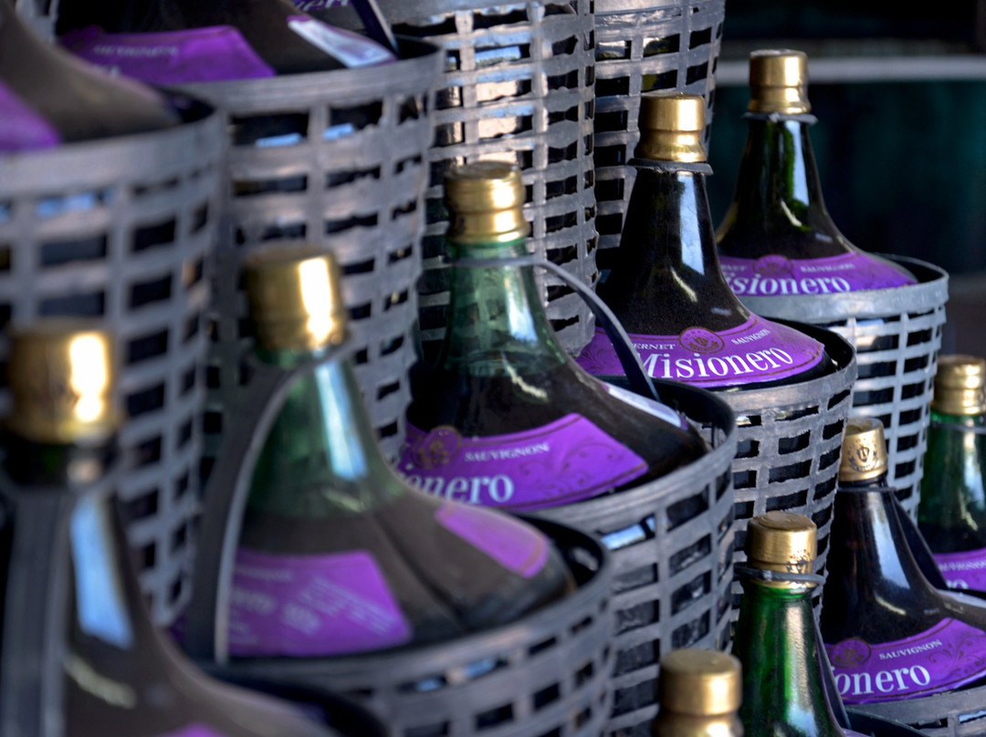 Bodega La Vendimia S.A.-圣拉斐尔必去景点