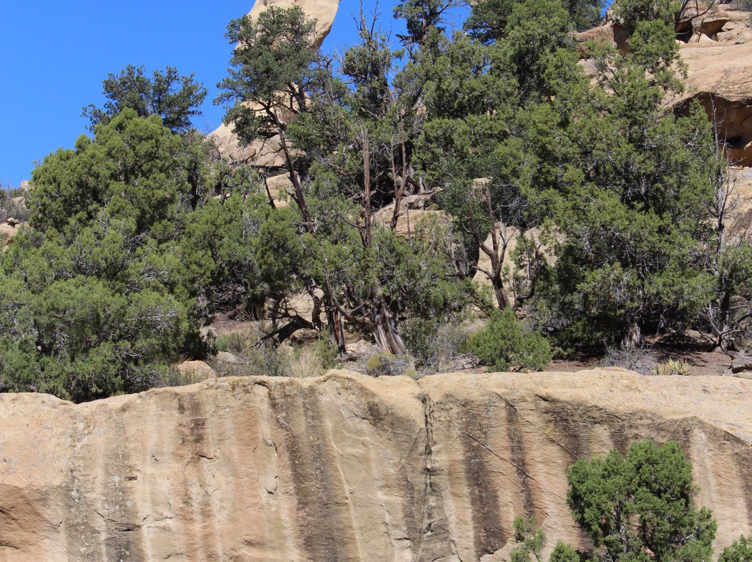 Aztec Sandstone Arches-Aztec必去景点