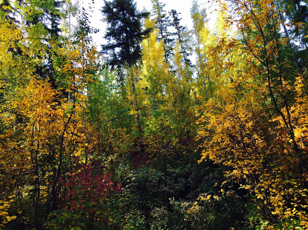 Ten Mile Lake Provincial Park景点图片
