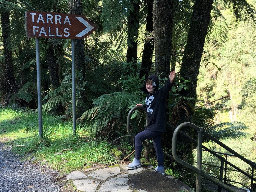 Tarra Falls-Tarra Valley必去景点