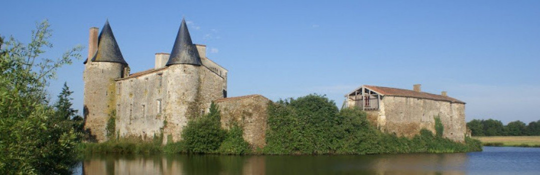 Château de la Grève景点图片