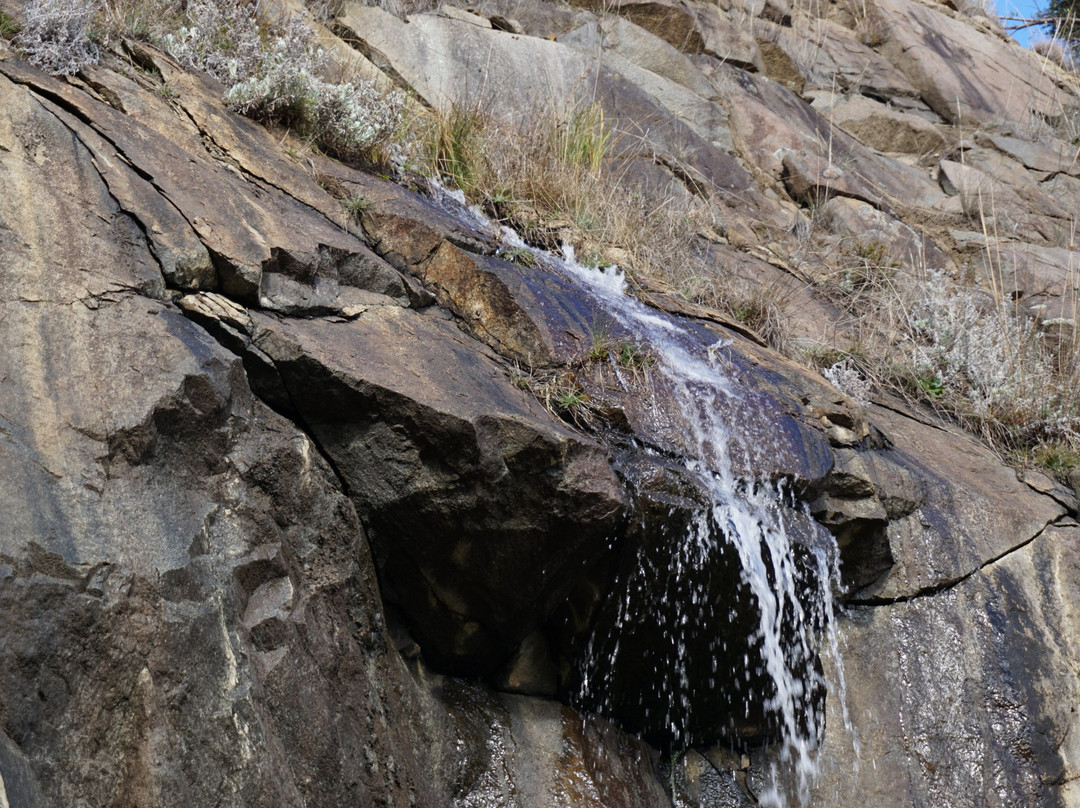 Tasmanian Bushland Garden-Buckland必去景点
