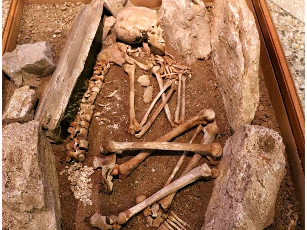 Museo di Archeologia-热那亚必去景点