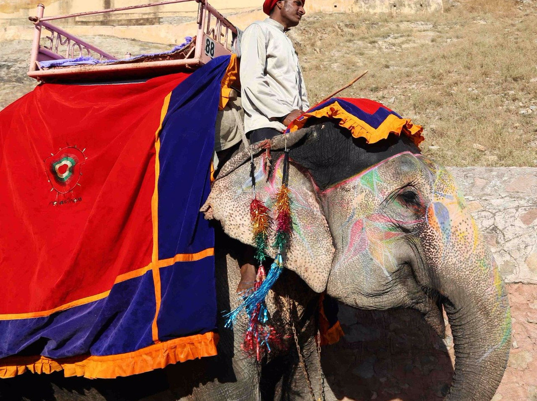 India Tours Information-斋蒲尔必去景点