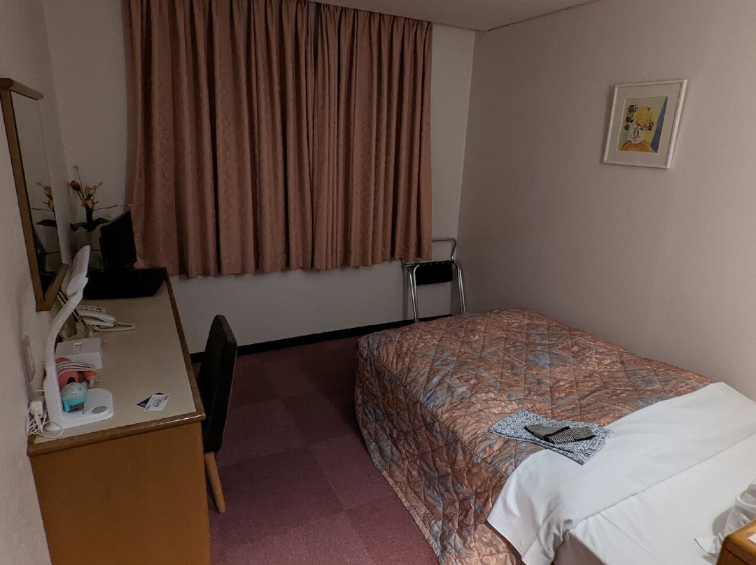 Business Hotel Central