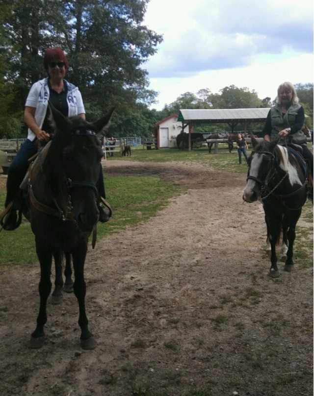 Sunset Stables-Lincoln必去景点