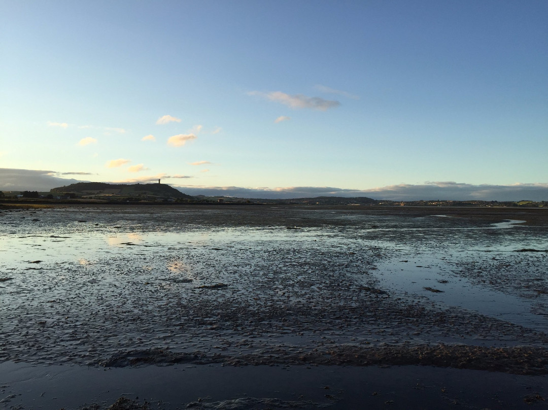 Island Hill & North Strangford Nature Reserve景点图片