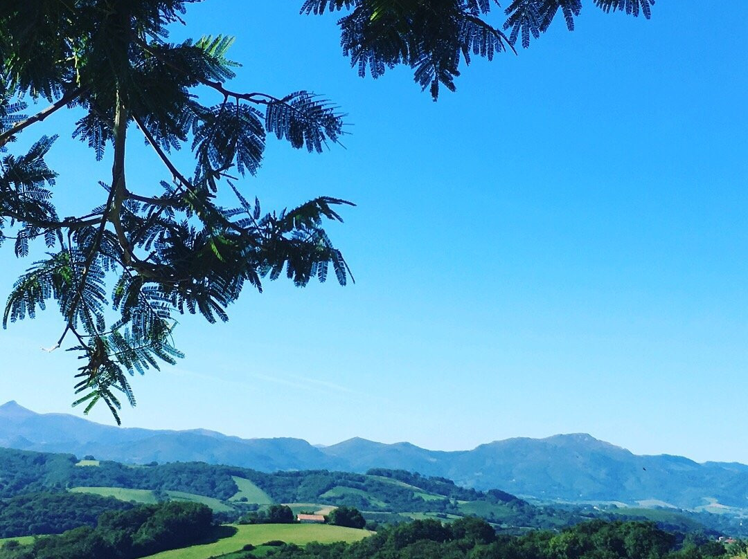 Ferme Salaberry-Saint-Pee-sur-Nivelle必去景点