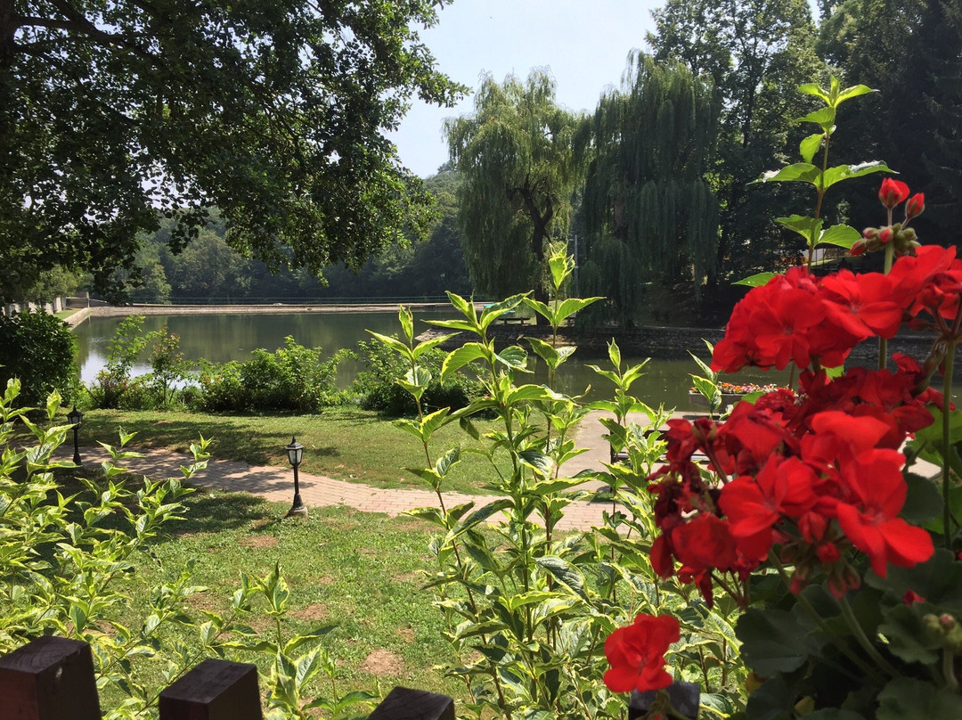 Hotel Sikfokut主图