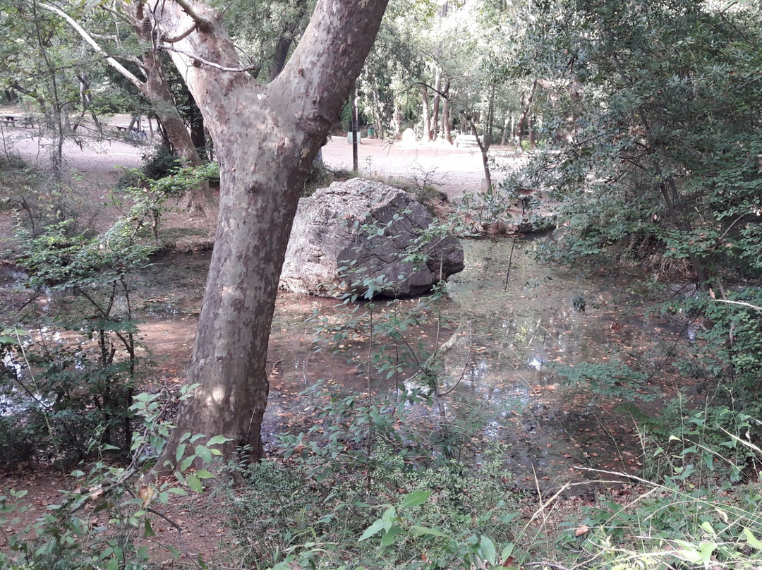 Source de l'Avy-Grabels必去景点