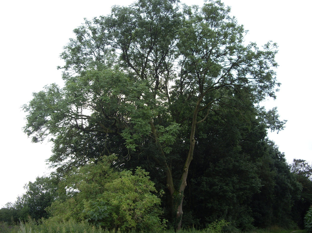Botanischer Garten-Ibbenbueren必去景点
