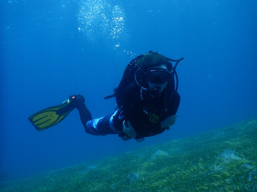Coral Dive & Adventure景点图片