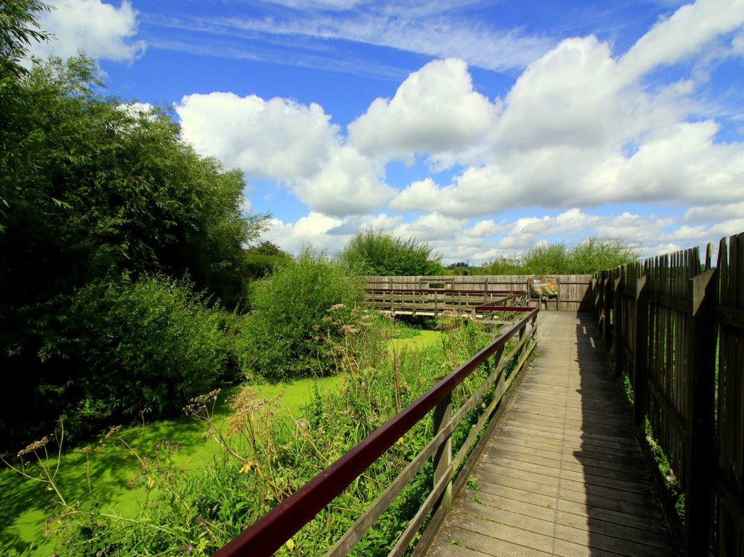 RSPB Rye Meads Nature Reserve景点图片