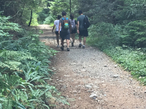 Woodland Walk Trail-高贵林市必去景点