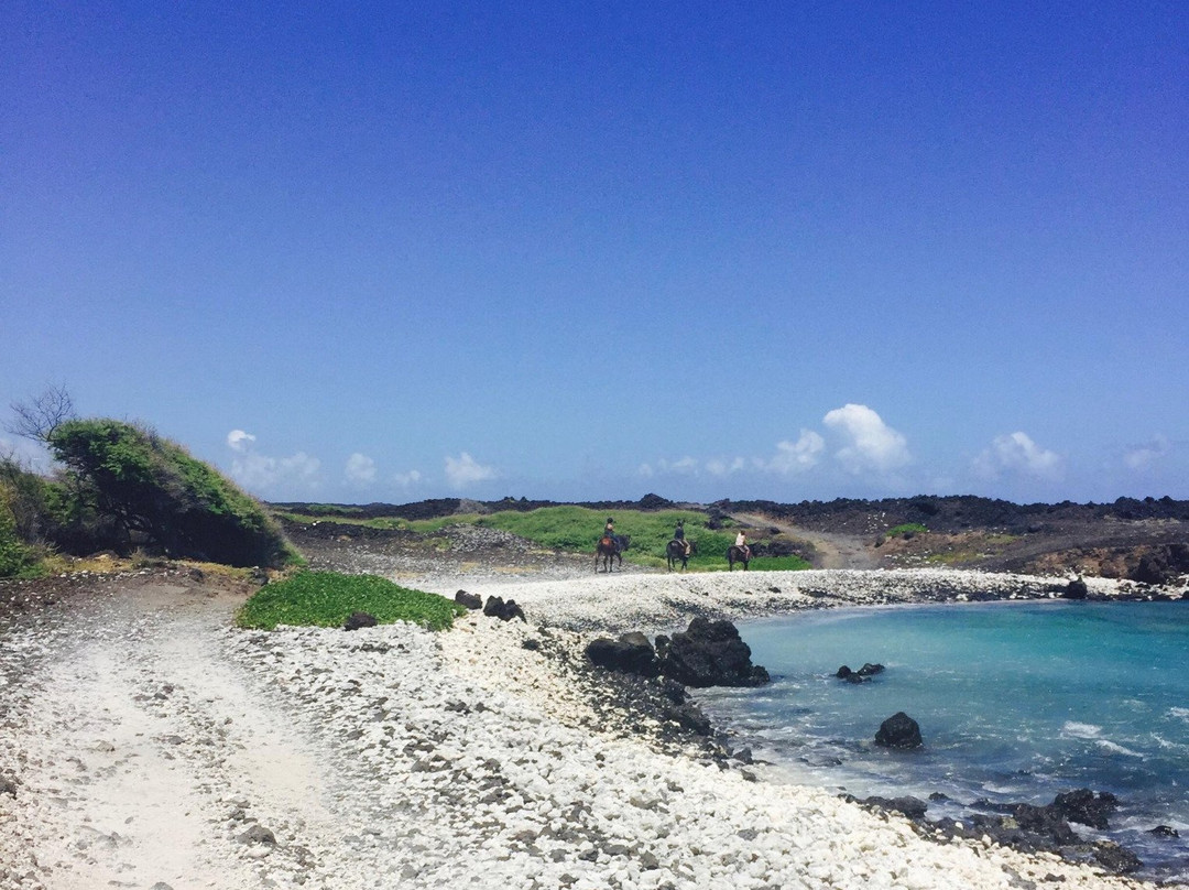 Triple L Ranch Horseback Tours-库拉必去景点