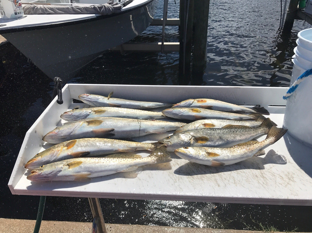 Anna Maria Inshore Fishing-布雷登顿必去景点