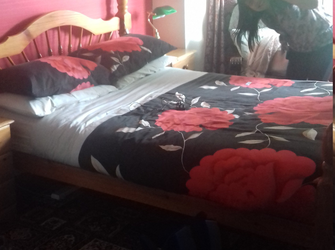 Bryncoed Guest House主图