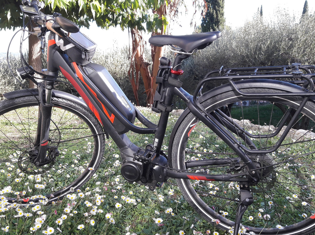 Flaycycle景点图片