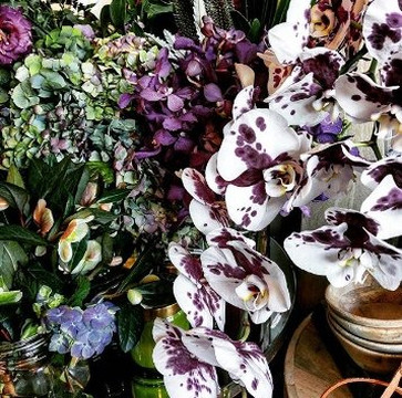 Flowers In A Vase-Woodend必去景点