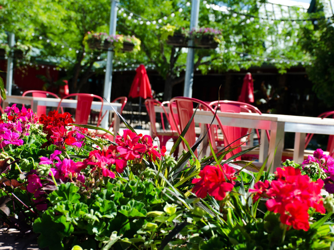 Budweiser Brewery Experience-科林斯堡必去景点