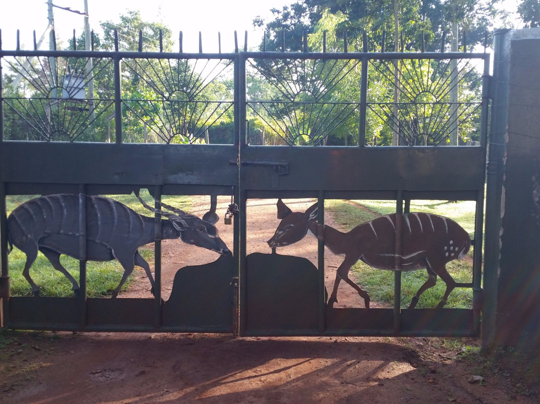 Saiwa Swamp National Park-Kitale必去景点