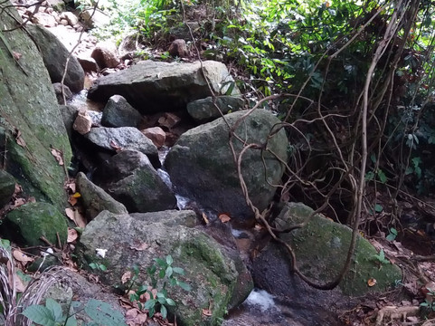 羊台山-深圳市必去景点