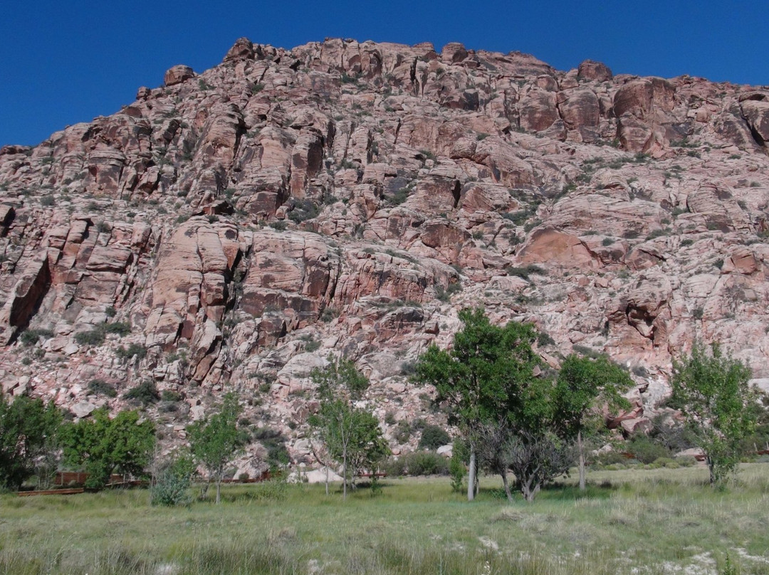 Red Spring Picnic Area-拉斯维加斯必去景点