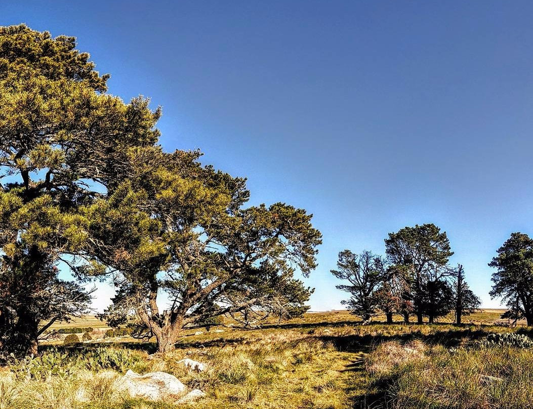Castillo Acelain-坦迪尔必去景点