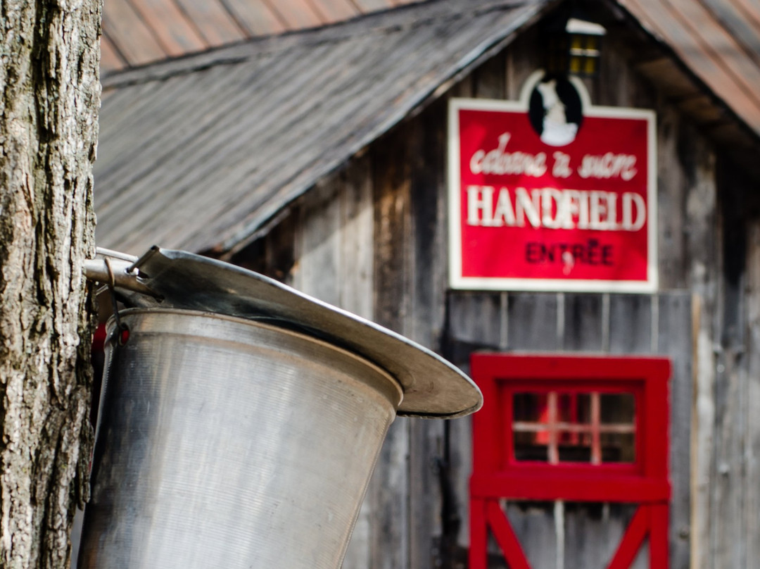 Saint Marc sur Richelieu餐馆和美食-Cabane à sucre Handfield