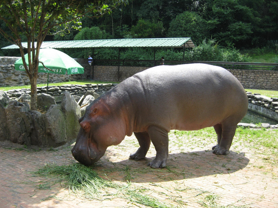 长沙生态动物园-长沙市必去景点