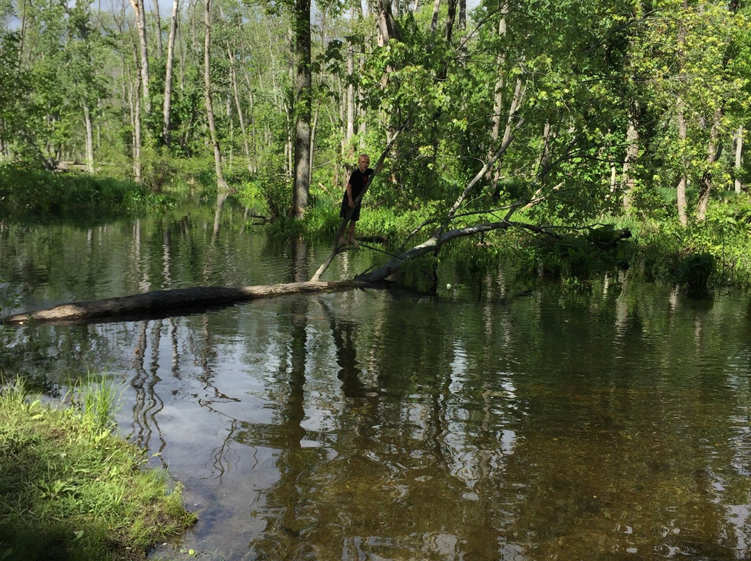 Great Swamp Wildlife Management Area-Patterson必去景点