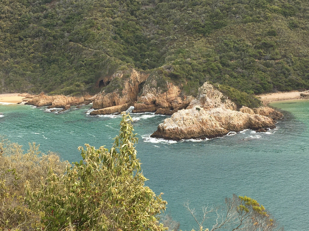 Garden Route-西开普必去景点