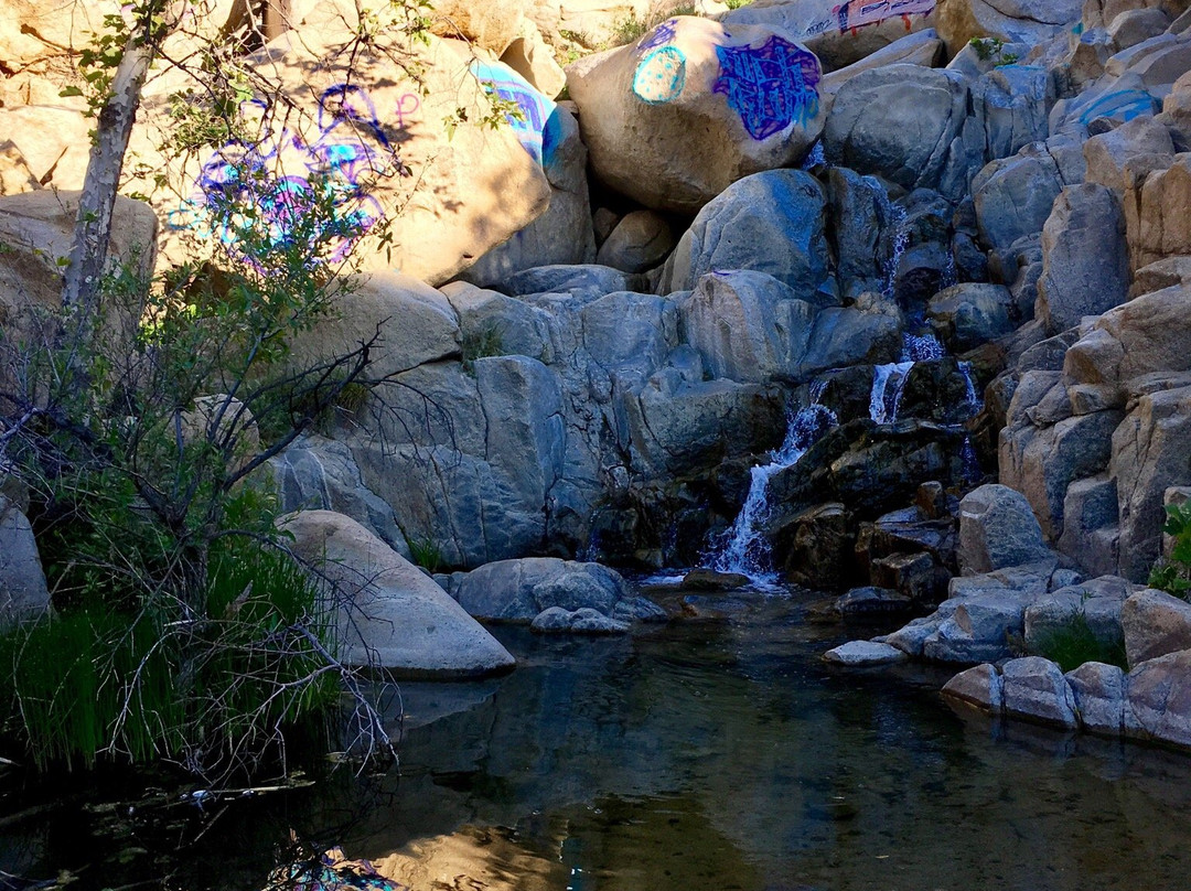 Ortega Falls-埃尔西诺湖必去景点