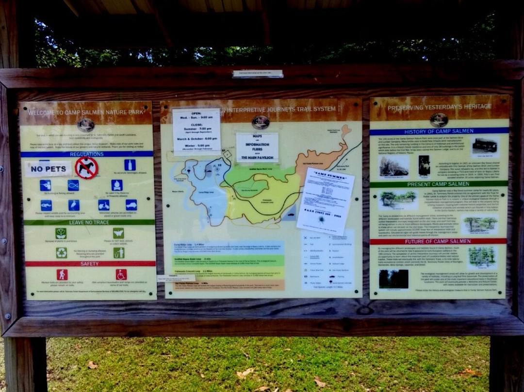 Camp Salmen Nature Park景点图片