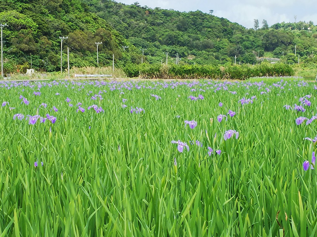Okurareruka Field景点图片