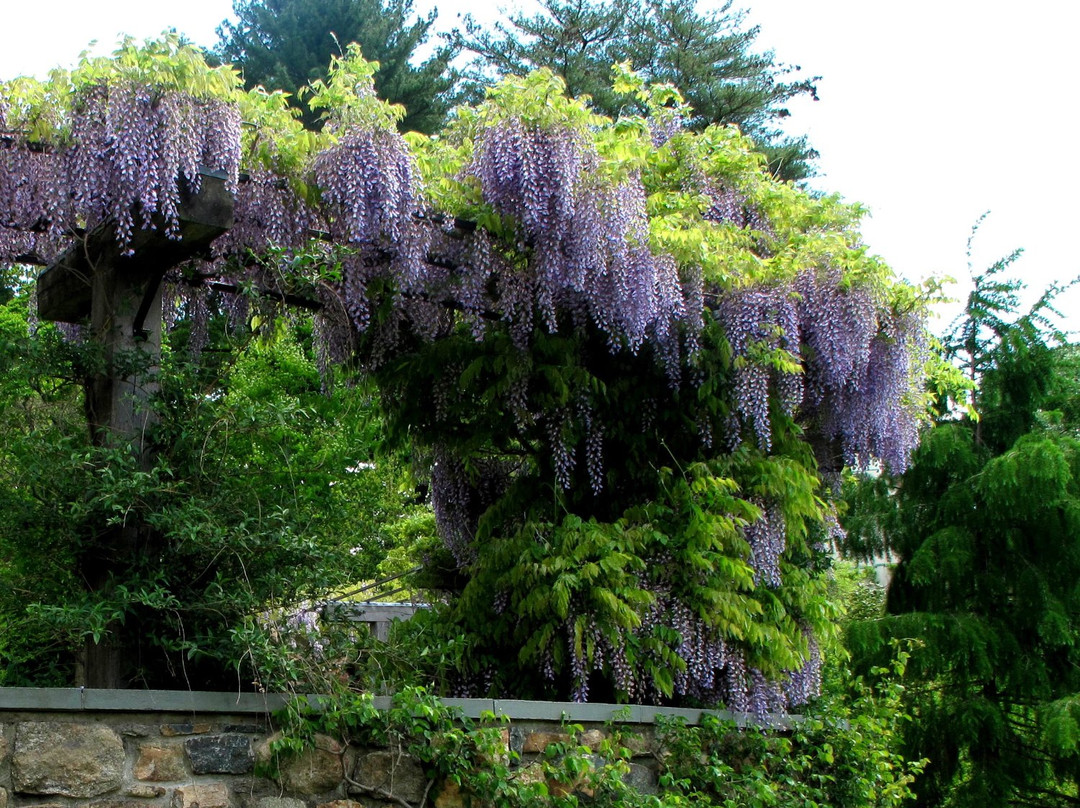 Wayne Art Center-Wayne必去景点