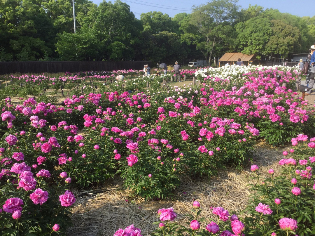 Kyuhojiryokuchi-八尾市必去景点