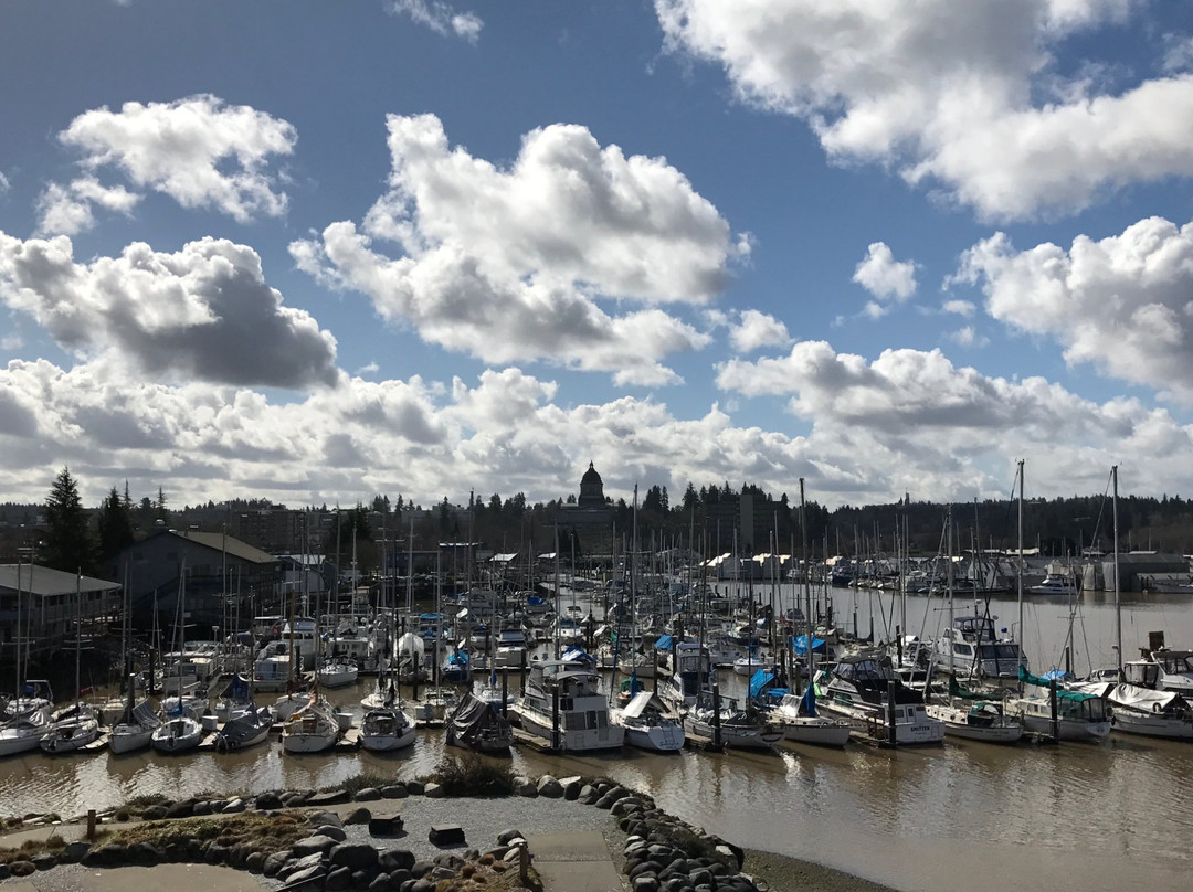 South Sound Adventures-塔姆沃特必去景点