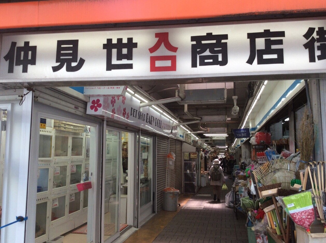 Machida Nakamise Shopping Street-町田市必去景点