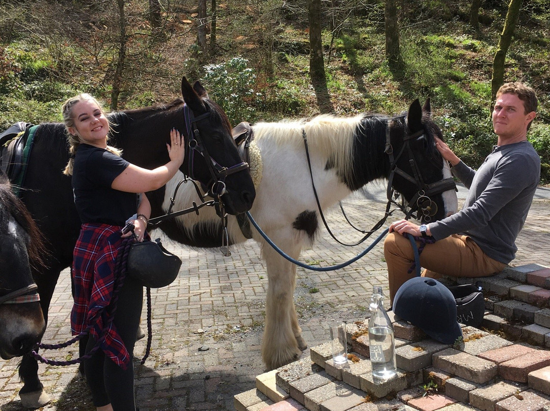 Ty Coch Farm B and B